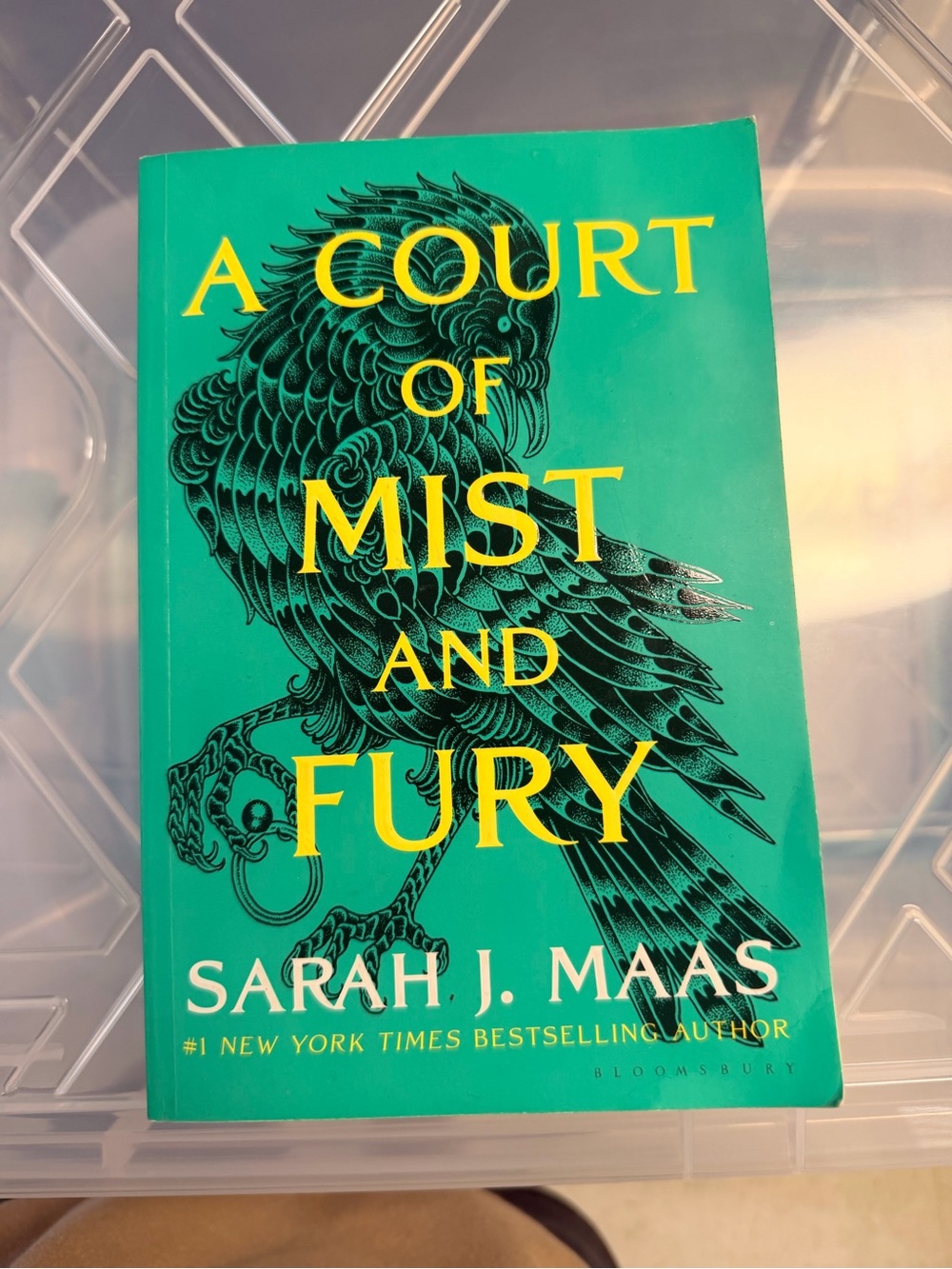 "A Court of Mist and Fury" - Teal Hardcover